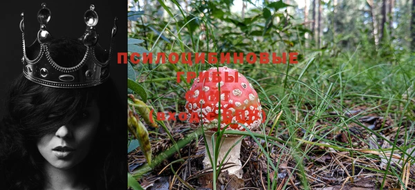 круглые Бронницы